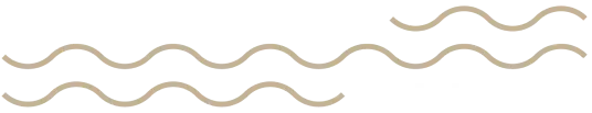 Gold River Dental logo